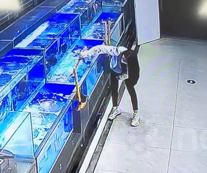 Cô gái gây phẫn nộ khi liên tiếp đạp chết nhiều con cá tại chợ hải sản Ảnh 2