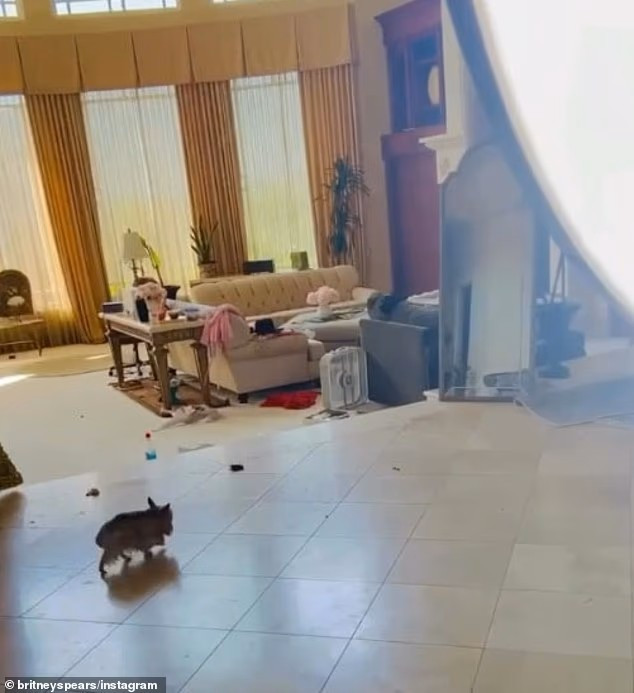 Nhiều người còn để ý tới căn biệt thự rộng rãi nhưng lại lộn xộn của nữ ca sĩ. (Ảnh: dailymail)