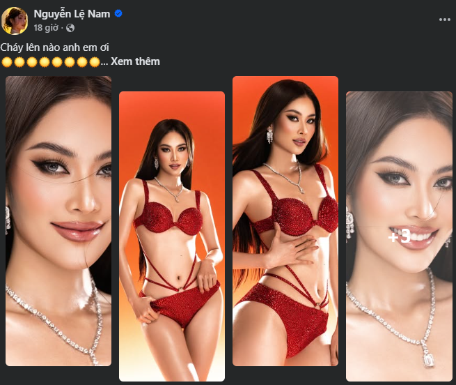 Bộ ảnh của Lệ Nam được nhận định là mang tinh thần của cuộc thi 'Miss Universe Vietnam'. (Ảnh: Chụp màn hình)