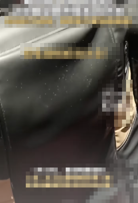 Vừa ngồi xuống ghế rạp phim, cô gái kinh hãi khi phát hiện sinh vật 'bò lổm ngổm' Ảnh 1