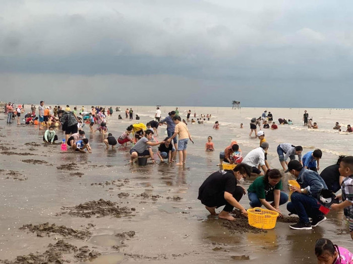 Về miền Tây, bỏ túi 50.000 đồng đi trải nghiệm thú vui cào nghêu Ảnh 5