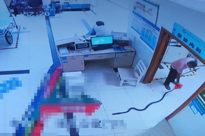 Cụ ông 78 tuổi bị rắn hổ mang chúa cắn, gia đình kéo con rắn dài hơn 2m đến thẳng bệnh viện Ảnh 3