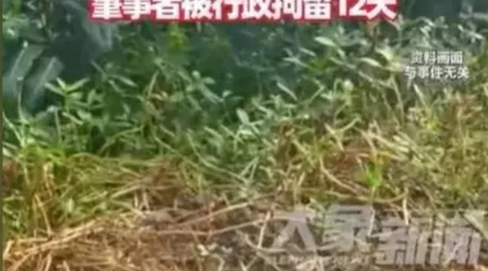 Cãi nhau vì mâu thuẫn, người phụ nữ 66 tuổi ra tay khiến cả nhà hàng xóm nhập viện nguy kịch Ảnh 1