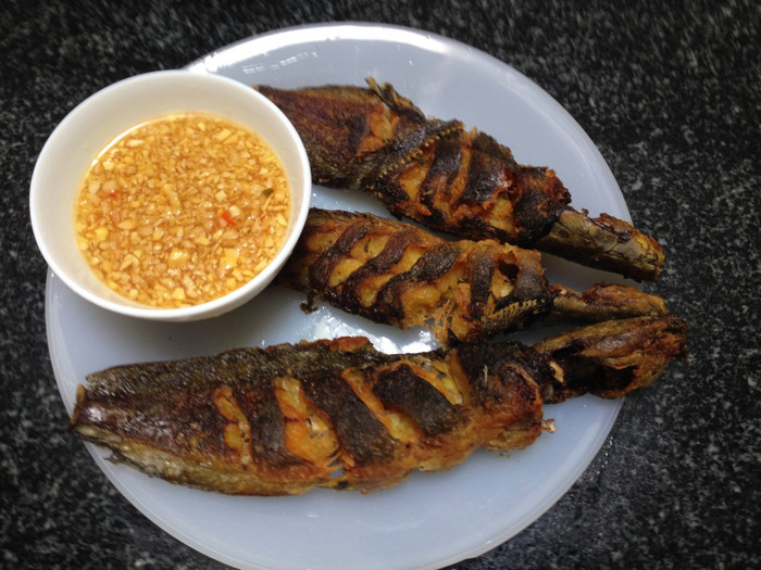 Cá trê được cho là chứa nhiều dinh dưỡng. (Ảnh từ Người lao động)