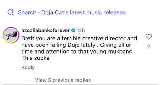 Lisa bị một nữ ca sĩ tấn công, bắt nguồn từ bài hát mới của Doja Cat Ảnh 3