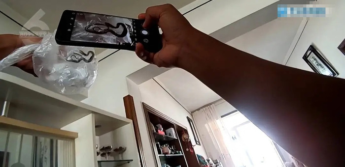 Trở về nhà sau chuyến đi chơi, cặp vợ chồng tá hỏa trước cảnh tượng sau khi mở cửa Ảnh 3