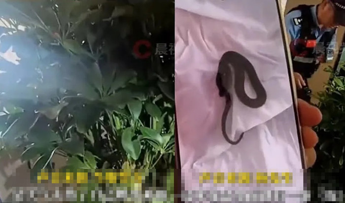 Trở về nhà sau chuyến đi chơi, cặp vợ chồng tá hỏa trước cảnh tượng sau khi mở cửa Ảnh 1