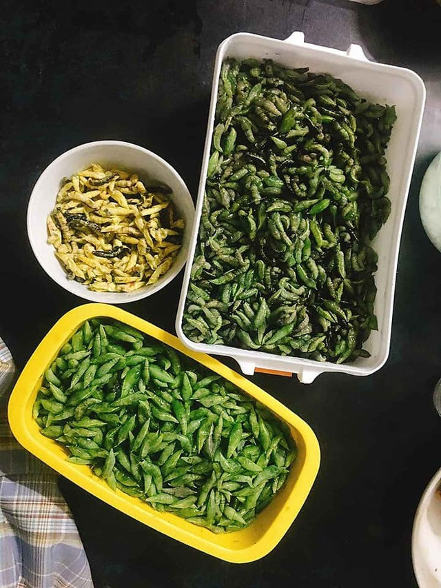 'Tôm rừng' Tây Nguyên: Ngoại hình khiến nhiều người rùng mình nhưng không phải muốn mua là được Ảnh 3