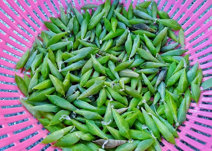 'Tôm rừng' Tây Nguyên: Ngoại hình khiến nhiều người rùng mình nhưng không phải muốn mua là được Ảnh 1