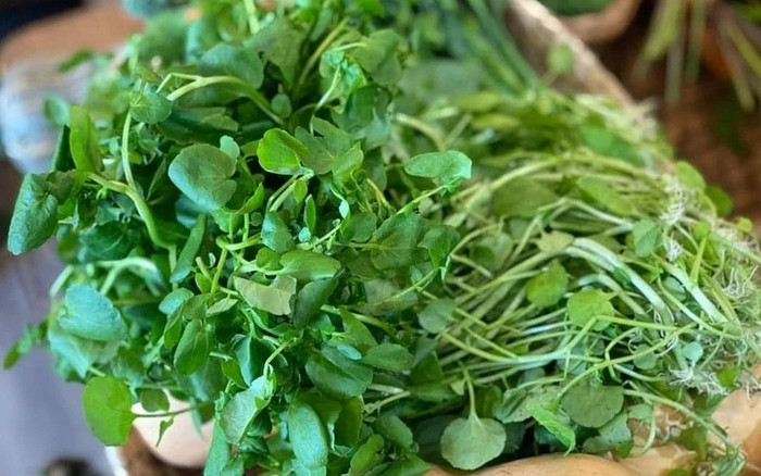 Dù bị chê bẩn, nhưng loại rau này lại có nhiều công dụng tốt cho sức khoẻ.