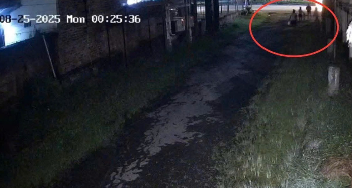 Nhóm người được cho là người mẹ cùng nhóm bạn của người mẹ. 