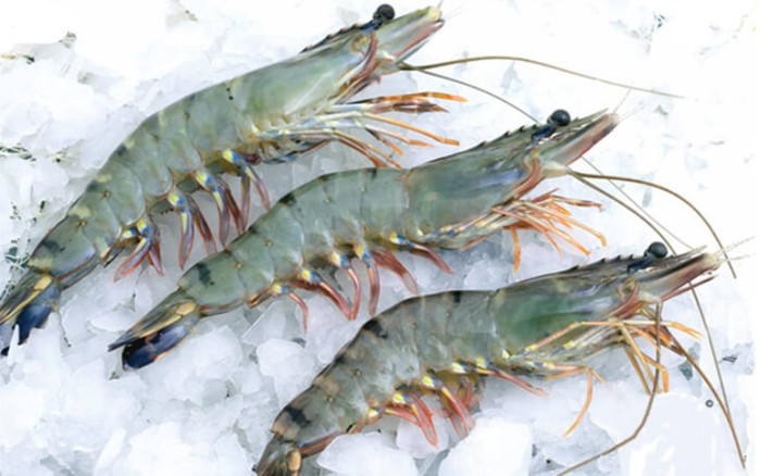 Khi nào không cần rút bỏ đường chỉ đen trên lưng tôm? Ảnh 1