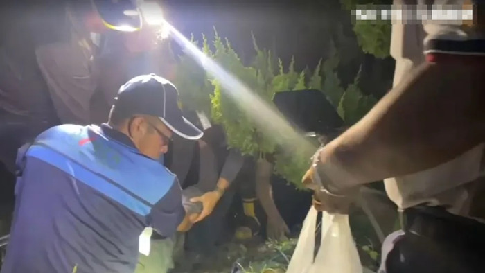 Ông lão mất tích khi đi hái rau rừng, được tìm thấy ở nơi không ai ngờ đến Ảnh 1