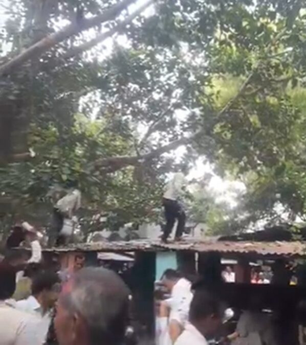 Cái cây bỗng 'đẻ' ra 23 triệu đồng bay khắp đường, người dân hỗn loạn giành giật Ảnh 1