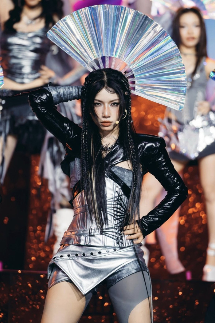 Nữ ca sĩ Việt khiến cộng đồng mạng bức xúc nhất lúc này Ảnh 1