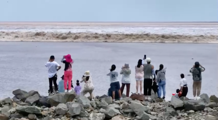 Bất chấp lời cảnh báo và thản nhiên quay phim khi có sóng lớn. Ảnh Douyin.