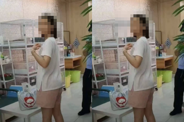 Phẫn nộ cô gái vào quán cà phê mèo rồi hành hạ đến chết 4 con mèo vì 'tâm trạng không tốt' Ảnh 1