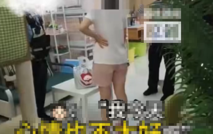 Phẫn nộ cô gái vào quán cà phê mèo rồi hành hạ đến chết 4 con mèo vì 'tâm trạng không tốt' Ảnh 2