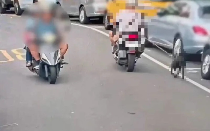 Con chó bị người đàn ông 81 tuổi chạy xe máy kéo lê 300 mét, lời khai gây phẫn nộ Ảnh 2