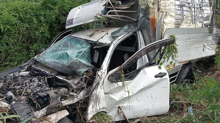 Hàng nghìn con gà tươi vương vãi trên đường, cảnh tượng khiến người dân xôn xao Ảnh 4