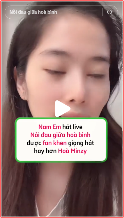 Nam Em gây tranh cãi khi hát 'Nỗi đau giữa hòa bình' của Hòa Minzy Ảnh 2
