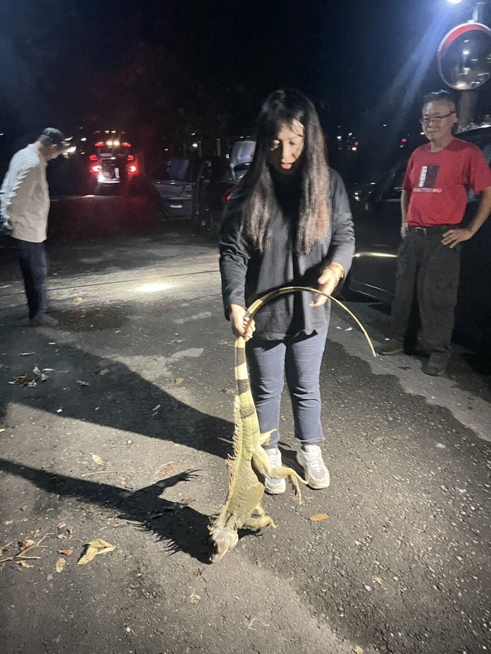 Nông dân hợp sức tiêu diệt một loài vật, gần 100 con bị bắt chỉ trong một đêm Ảnh 2