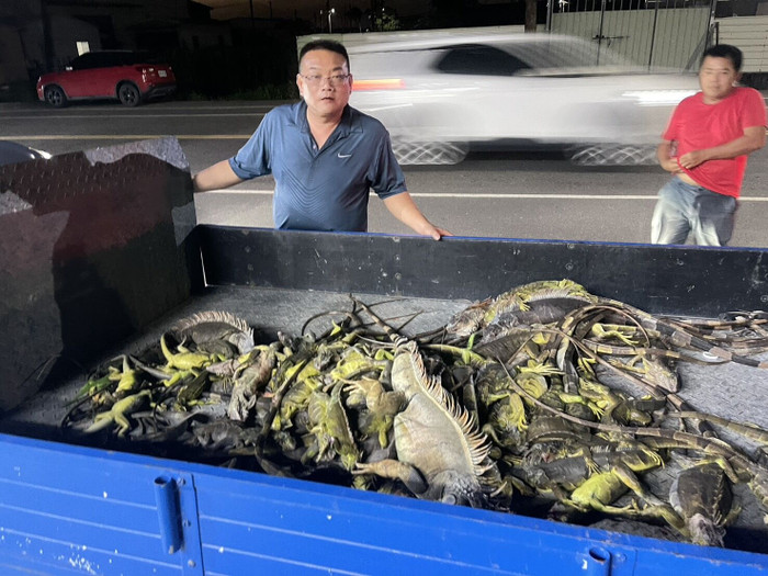 Nông dân hợp sức tiêu diệt một loài vật, gần 100 con bị bắt chỉ trong một đêm Ảnh 1