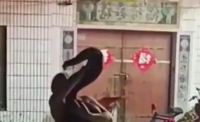 Cô gái bị con trăn cắn vào mặt không buông tại đám cưới, khách khứa kinh hãi chứng kiến Ảnh 1