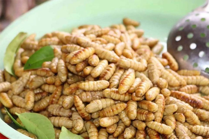 5 đặc sản vừa ăn vừa thử thách lòng can đảm Ảnh 6