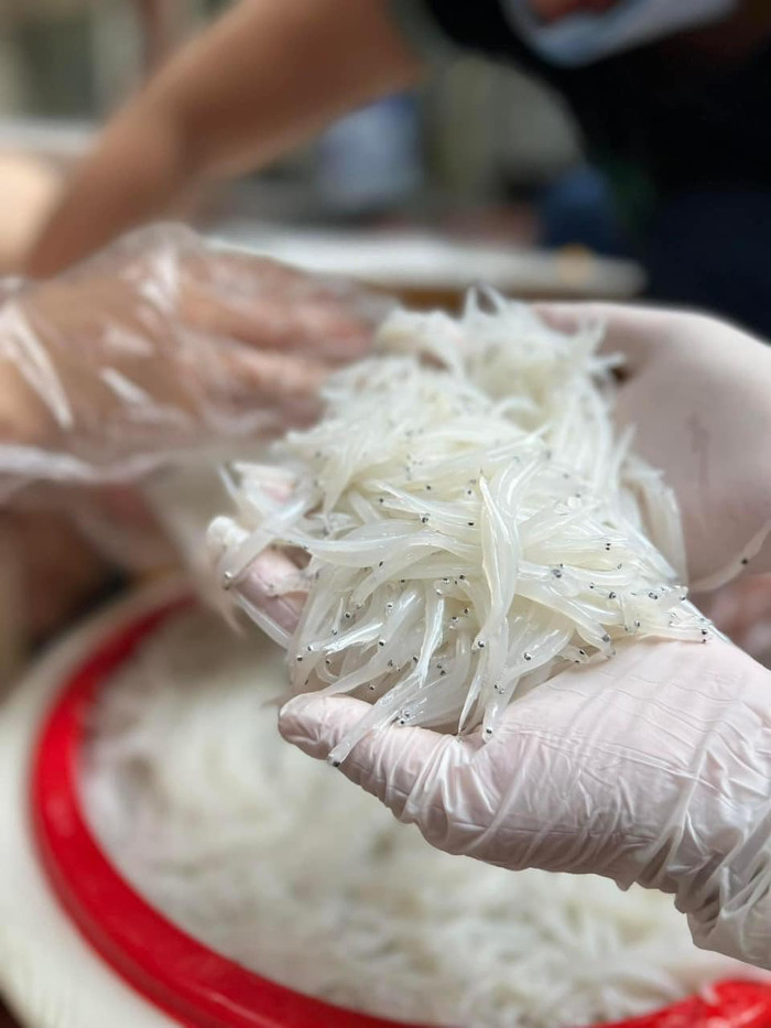 Cá ngần là một trong những loại đặc sản sông Đà hiếm gặp, chỉ xuất hiện một lần duy nhất trong năm. (Ảnh minh họa từ Dân Việt)