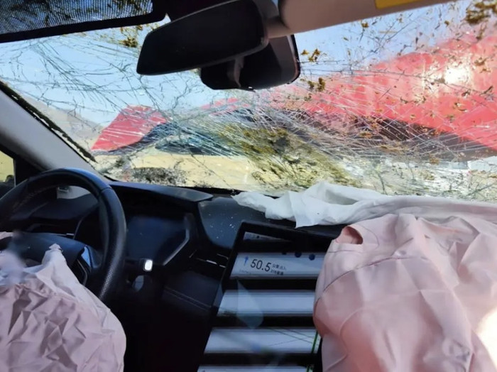 Người đàn ông tông chết 6 con ngựa trên quốc lộ, bị đòi bồi thường hơn 150 triệu đồng Ảnh 4