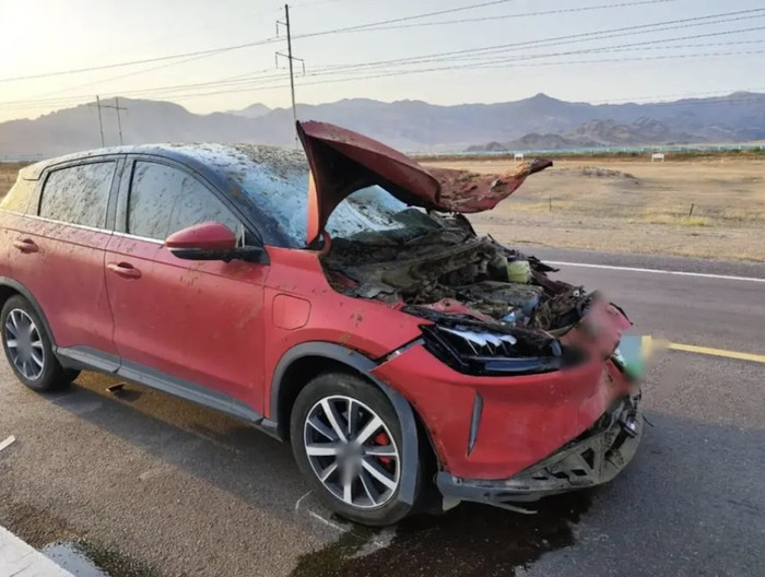 Người đàn ông tông chết 6 con ngựa trên quốc lộ, bị đòi bồi thường hơn 150 triệu đồng Ảnh 1