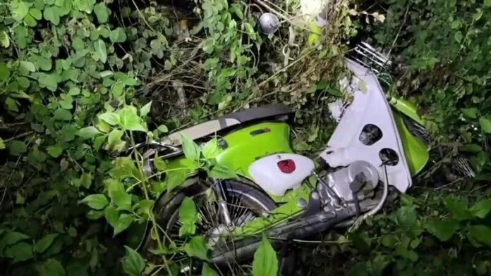 Ngửi thấy mùi thối nồng nặc trong bụi cây, người dân bàng hoàng khi đến kiểm tra Ảnh 3