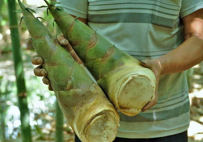 3 loại rau quen thuộc giúp phòng bệnh nhưng nấu sai lại thành độc tố Ảnh 3