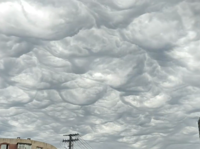 Hàng nghìn con ếch, nhái kéo thành đàn trên đường khiến người dân lo lắng Ảnh 3