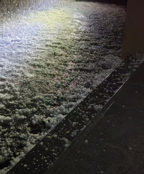 Hàng nghìn con ếch, nhái kéo thành đàn trên đường khiến người dân lo lắng Ảnh 4