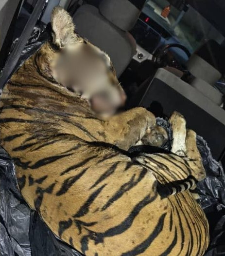 Ảnh:Pasukan Simpanan Persekutuan.