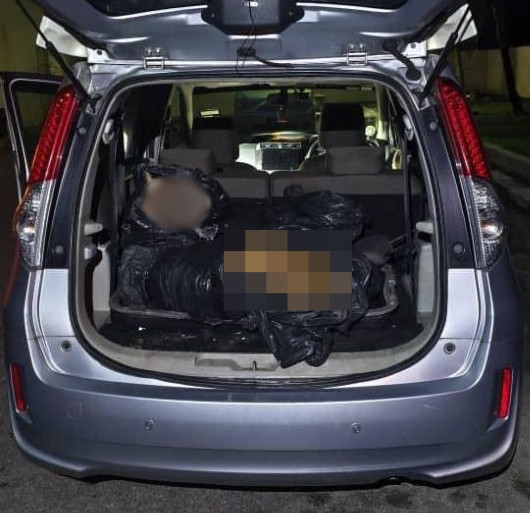 Ảnh:Pasukan Simpanan Persekutuan.