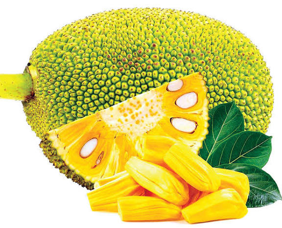 Ảnh: Báo Tuổi Trẻ