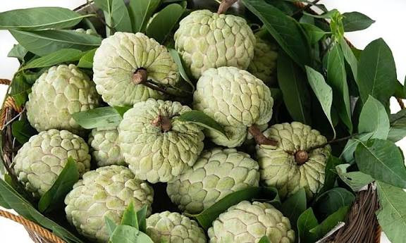 Mãng cầu (na). Ảnh: VNExpress