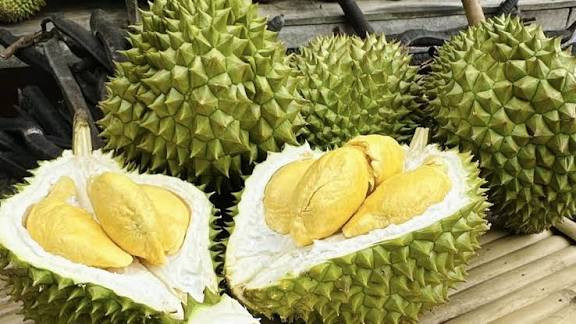 Ảnh: Báo Nhân Dân