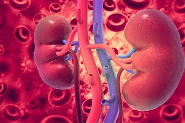 Ảnh minh họa (Internet).