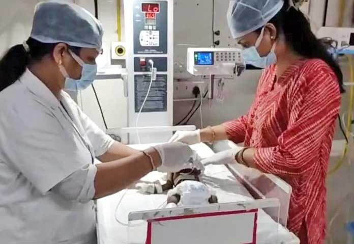 Đi chăn dê, người đàn ông bàng hoàng phát hiện bé gái sơ sinh bị chôn sống Ảnh 1