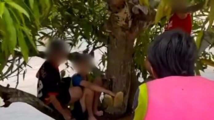 4 cậu bé bị lũ cuốn trôi vướng vào ngọn cây, nghẹt thở khoảnh khắc giải cứu Ảnh 2