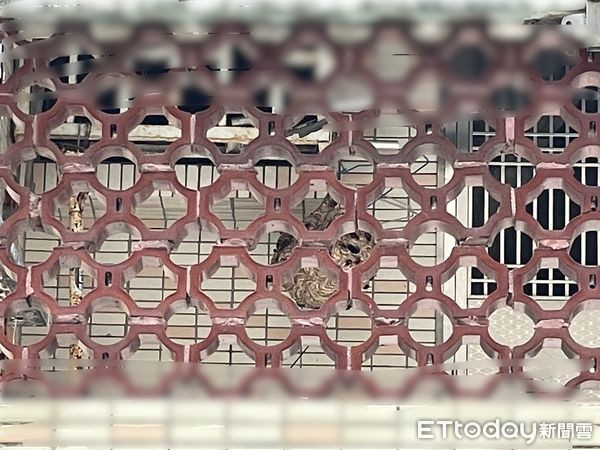 Phát hiện vật có kích thước to bằng quả bóng rổ, người phụ nữ bị tấn công phải nhập viện Ảnh 1