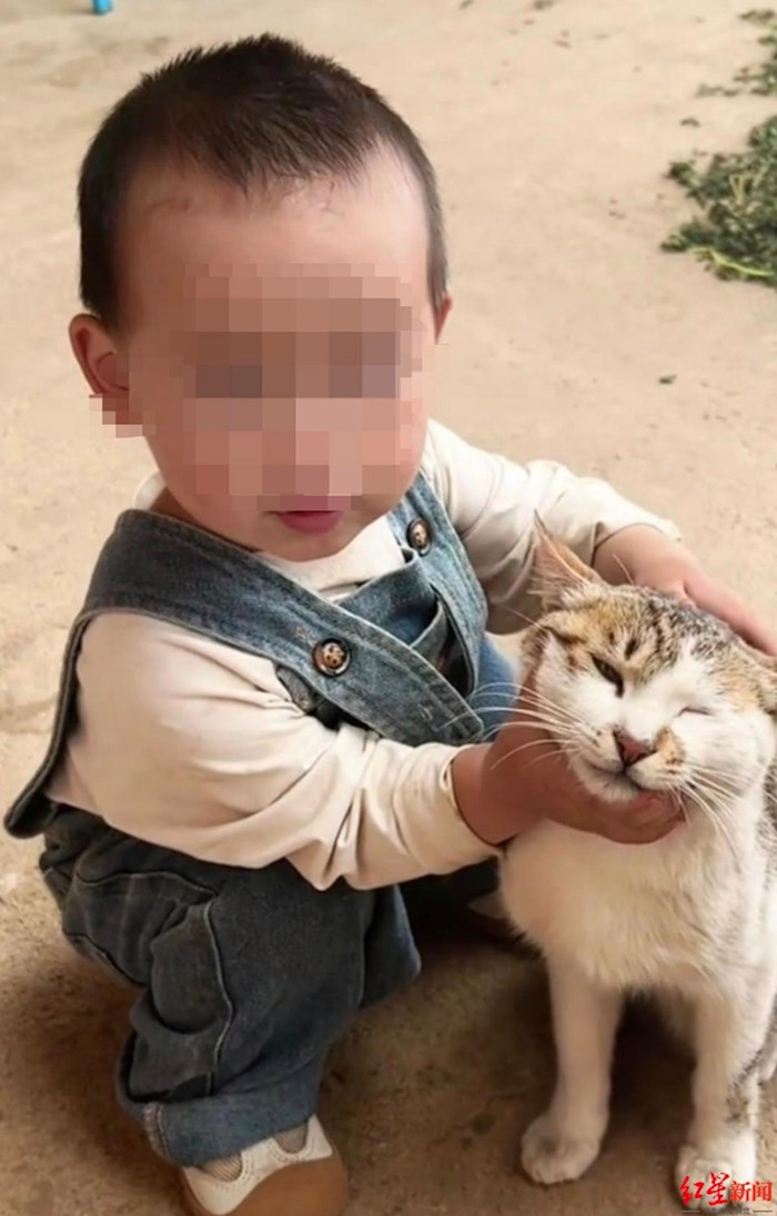 Bé gái 2 tuổi mất tích suốt 10 ngày, cha mẹ gục ngã khi tìm thấy con tại nơi không ai ngờ Ảnh 1