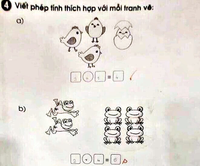 Bài toán '2+4=6' bị giáo viên chấm sai. 