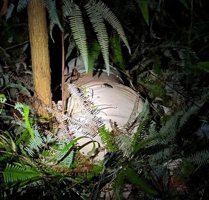 Hiện trường nơi phát hiện thi thể. (Nguồn: Tiền phong)