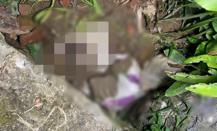 Hiện trường phát hiện thi thể bé gái. Ảnh: CAND