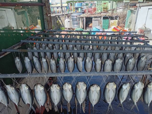 Chạy xe máy đến nhà trưởng làng, người dân hốt hoảng la hét khi nhìn thấy cảnh tượng trong sân Ảnh 1